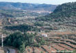 Vertientes aterrazadas con cultivo de olivar en el bajo Maestrazgo (Castellón)