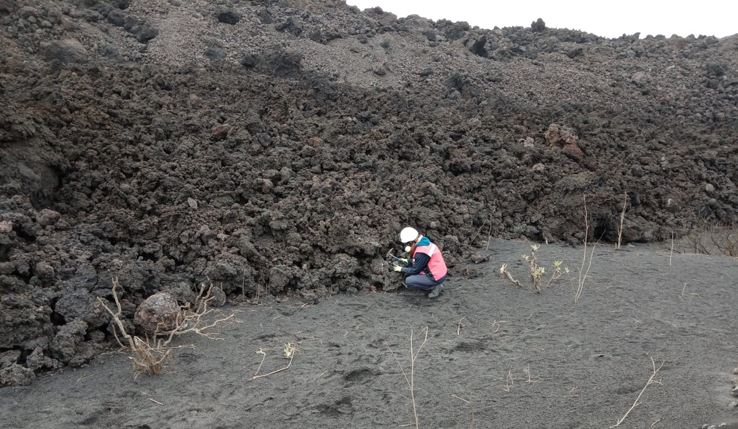Recogida de muestras