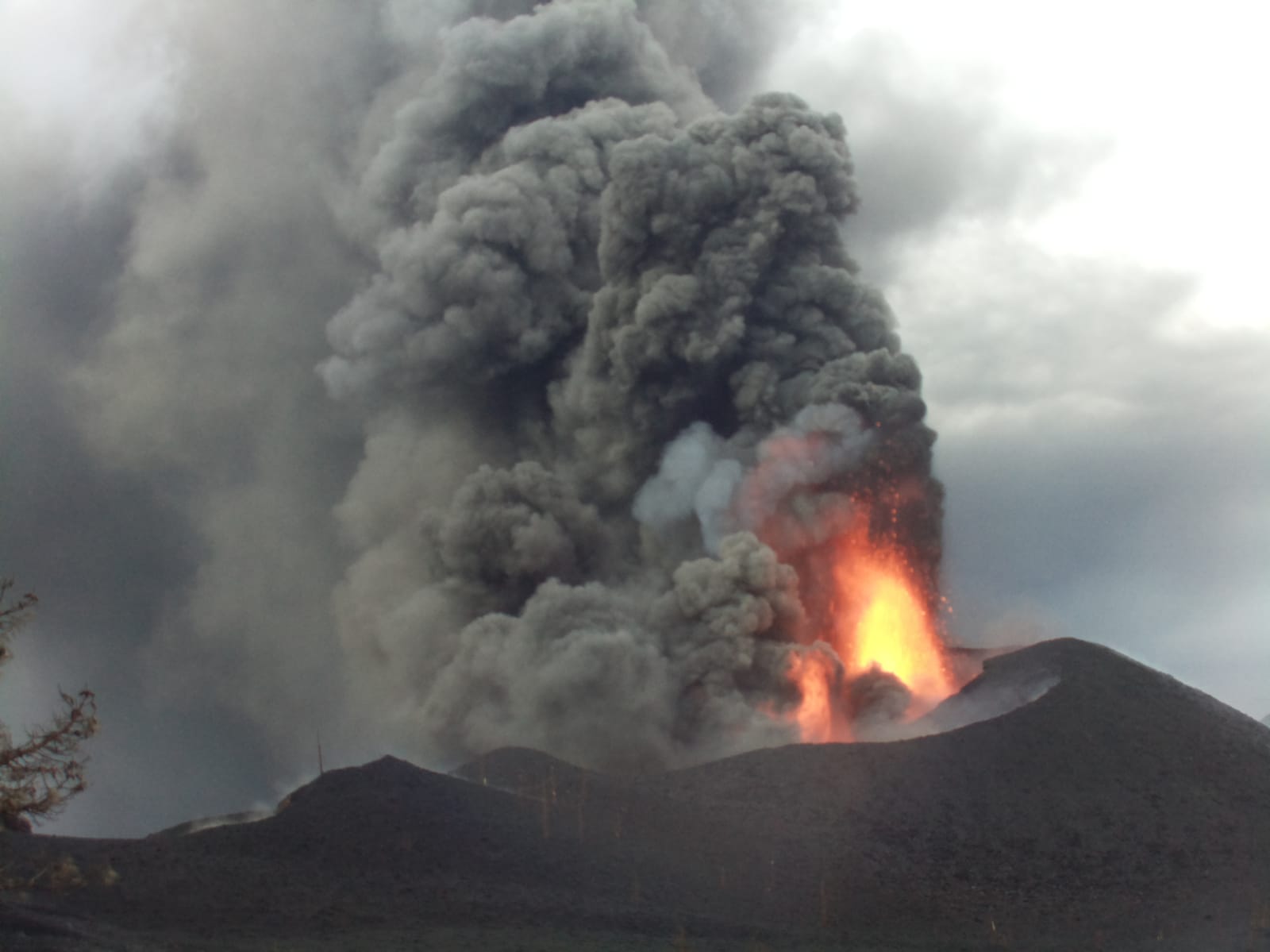 Cámara Termina Visible