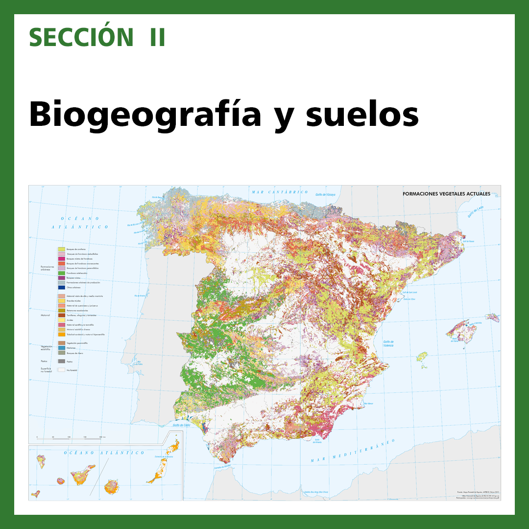 Biogeografía y suelos en la actualidad en el Atlas Nacional de España
