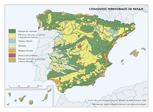 Conjuntos territoriales de paisaje