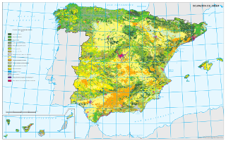 Ocupación del suelo