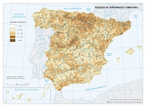 Riqueza de vertebrados terrestres