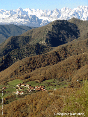 Pesaguero (Cantabria)