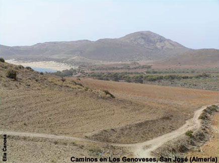 Camino en Los Genoveses, San José (Almería)