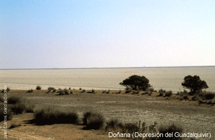Doñana (Depresión del Guadalquivir)