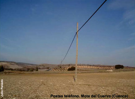Postes teléfono. Mota del Cuervo (Cuenca)