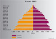Pirámides de población (1960, 1991, 2001)