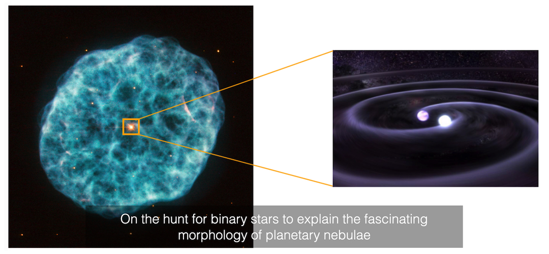 On the hunt for binary stars to explain the fascinating morphology of planetary nebulae
