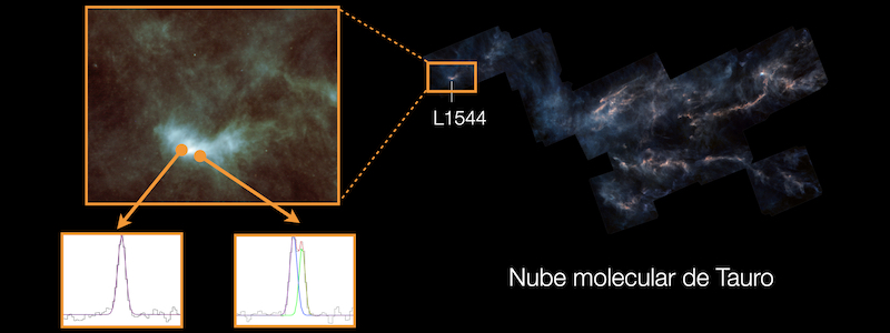 New radioastronomical observations reveal the structure of filaments where stars are born
