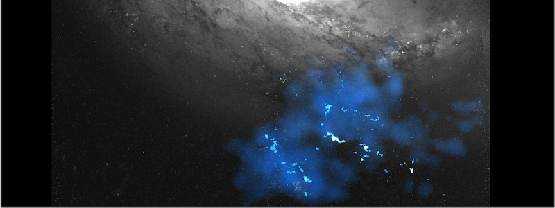 ALMA observa el nacimiento de una galaxia