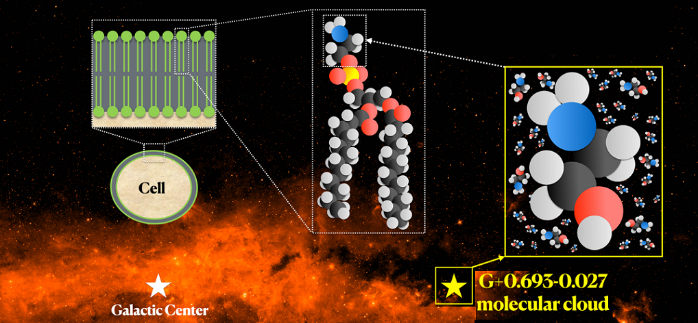 Discovery of a key molecule in the origin of life