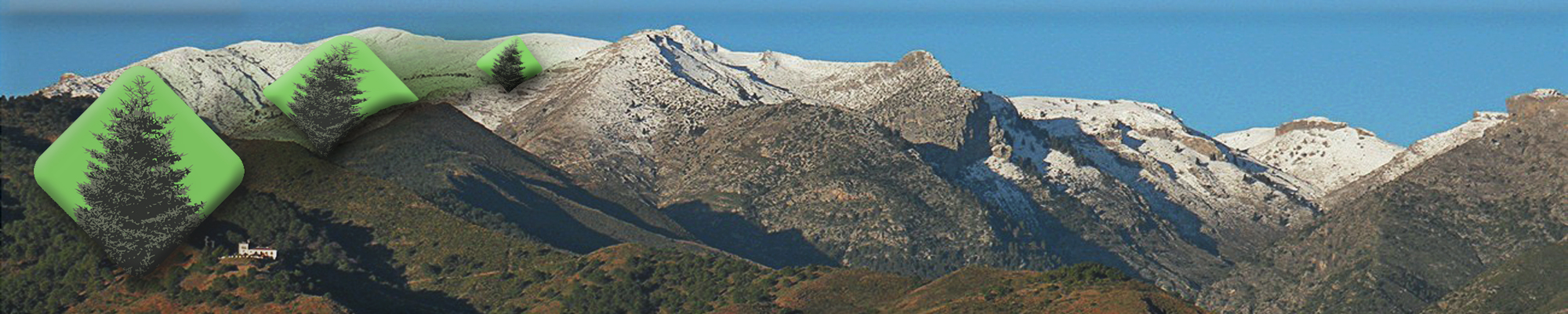 Parque Nacional Sierra de las Nieves