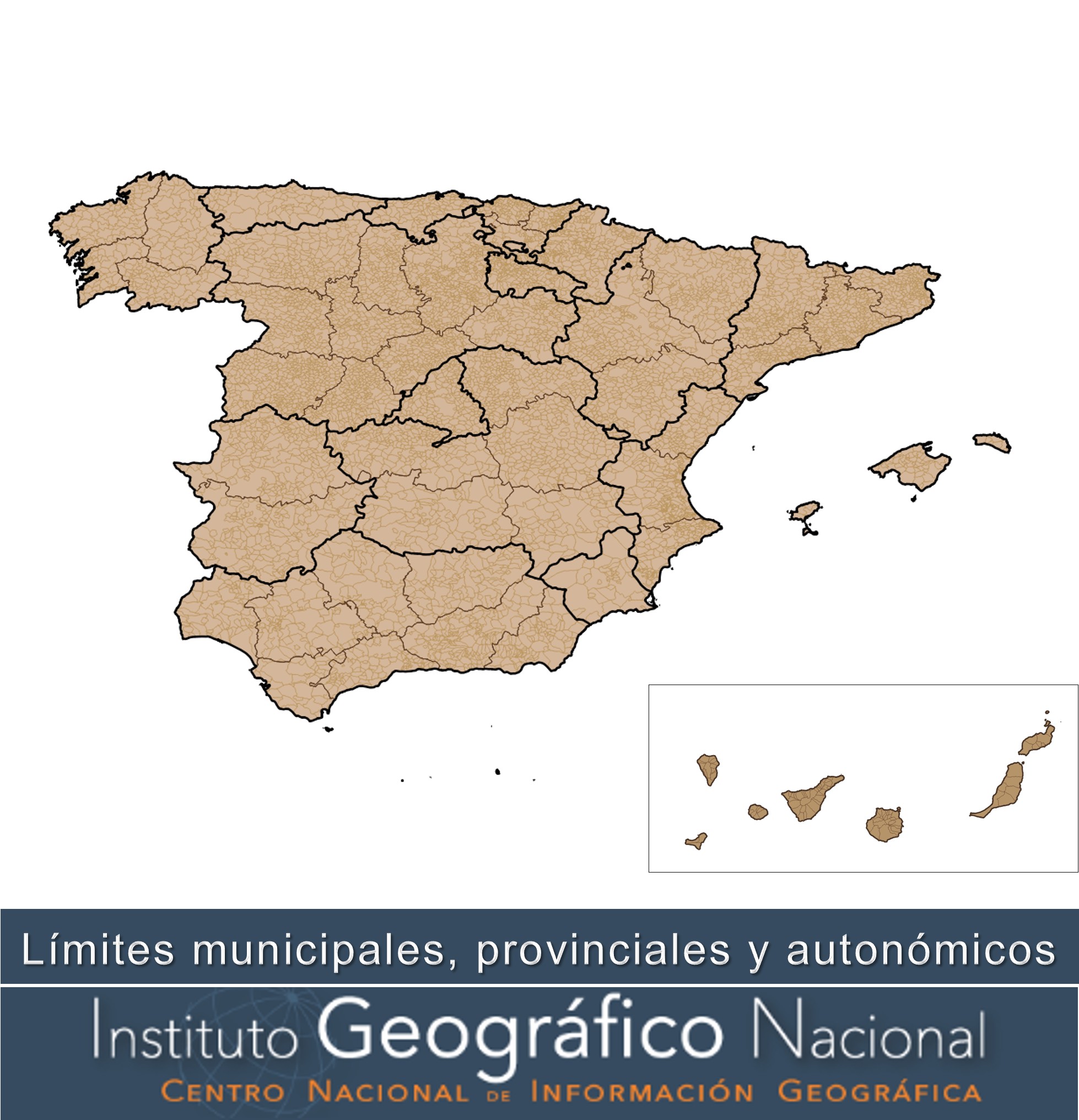 overview