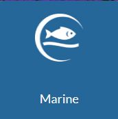 Marine