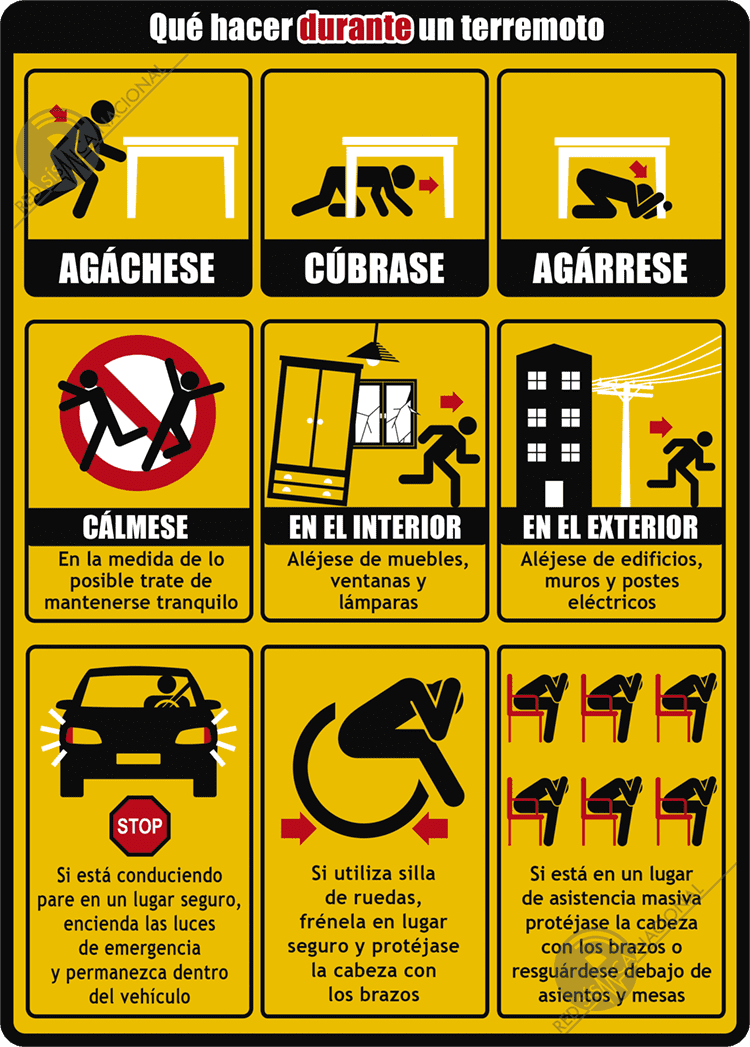 Qué hacer durante un terremoto
